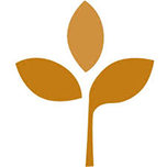 2002