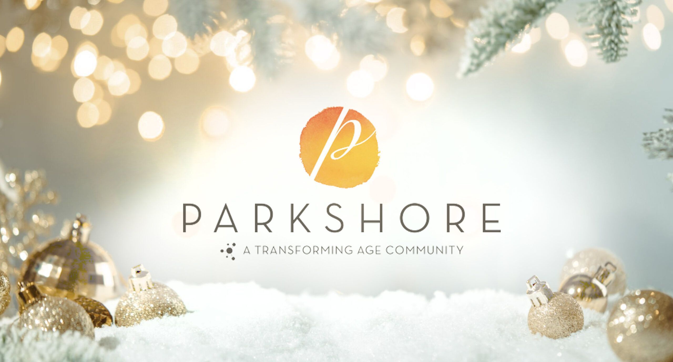 Christmas Ships Festival